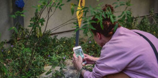 El programa municipal “Biocorredores” será impulsado en todo el país por el Ministerio de Ciencia y Tecnología de la Nación