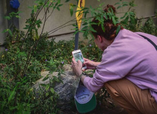 El programa municipal “Biocorredores” será impulsado en todo el país por el Ministerio de Ciencia y Tecnología de la Nación