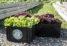 Lanzan un programa de voluntariado en la huerta agroecológica de Ingeniero Maschwitz