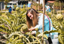 Escobar Sostenible: la icónica área de la Municipalidad será jerarquizada con el rango de Subsecretaría