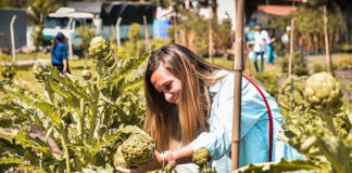 Escobar Sostenible: la icónica área de la Municipalidad será jerarquizada con el rango de Subsecretaría