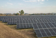 El Parque Solar Municipal ya evitó que 794 toneladas de CO2 sean liberadas a la atmósfera