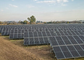 El Parque Solar Municipal ya evitó que 794 toneladas de CO2 sean liberadas a la atmósfera