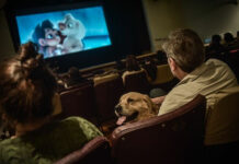 El Cine Italia batió en 2022 un récord de entradas convocando a más de 60 mil espectadores