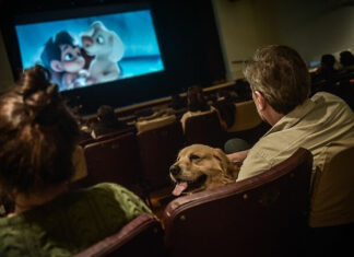 El Cine Italia batió en 2022 un récord de entradas convocando a más de 60 mil espectadores