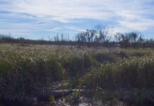 El Ministerio de Ciencia, Tecnología e Innovación de la Nación firmó la resolución para construir en Escobar el primer Centro Interinstitucional del país orientado al desarrollo sostenible