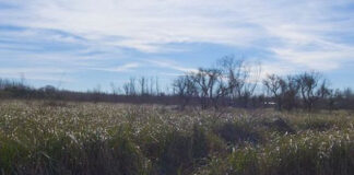 El Ministerio de Ciencia, Tecnología e Innovación de la Nación firmó la resolución para construir en Escobar el primer Centro Interinstitucional del país orientado al desarrollo sostenible