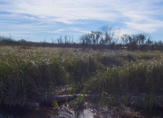 El Ministerio de Ciencia, Tecnología e Innovación de la Nación firmó la resolución para construir en Escobar el primer Centro Interinstitucional del país orientado al desarrollo sostenible