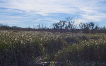 El Ministerio de Ciencia, Tecnología e Innovación de la Nación firmó la resolución para construir en Escobar el primer Centro Interinstitucional del país orientado al desarrollo sostenible