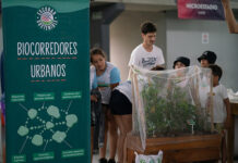 Educación Ambiental: más de 5000 personas participaron del Día Sostenible en las colonias municipales