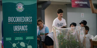 Educación Ambiental: más de 5000 personas participaron del Día Sostenible en las colonias municipales