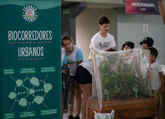 Educación Ambiental: más de 5000 personas participaron del Día Sostenible en las colonias municipales