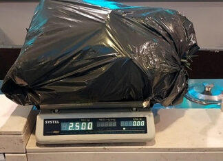 Golpe a la venta de droga: incautan más de ocho kilos de marihuana en Garín