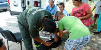 Zoonosis Escobar: continúan las jornadas gratuitas de vacunación y castración en las distintas localidades