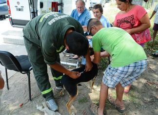Zoonosis Escobar: continúan las jornadas gratuitas de vacunación y castración en las distintas localidades