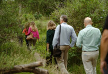 Safari de otoño en la Reserva: el Municipio realiza una actividad de Ciencia Ciudadana en Ingeniero Maschwitz