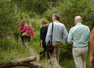 Safari de otoño en la Reserva: el Municipio realiza una actividad de Ciencia Ciudadana en Ingeniero Maschwitz