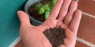 Escobar Sostenible: ya están disponibles los kits de semillas de la temporada otoño-invierno