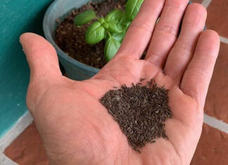 Escobar Sostenible: ya están disponibles los kits de semillas de la temporada otoño-invierno