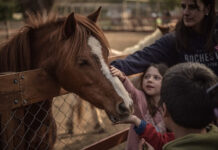 La Granja Educativa Don Benito reabre sus puertas con actividades para toda la familia