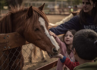 La Granja Educativa Don Benito reabre sus puertas con actividades para toda la familia