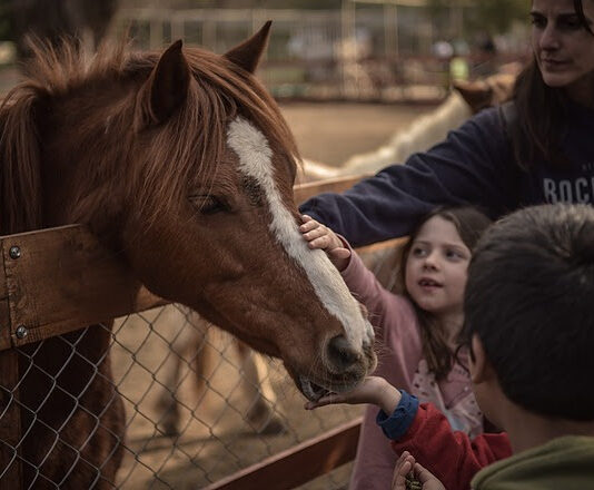 La Granja Educativa Don Benito reabre sus puertas con actividades para toda la familia