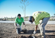 Escobar Sostenible: se plantaron 7.200 árboles nativos de los 10.000 del Plan de Arbolado Urbano “Plantando Conciencia”