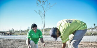 Escobar Sostenible: se plantaron 7.200 árboles nativos de los 10.000 del Plan de Arbolado Urbano “Plantando Conciencia”