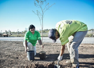 Escobar Sostenible: se plantaron 7.200 árboles nativos de los 10.000 del Plan de Arbolado Urbano “Plantando Conciencia”