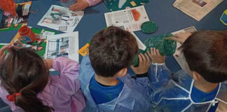 Fiesta Nacional de la Flor: 80 instituciones educativas exhibirán un jardín de flores con materiales reciclados