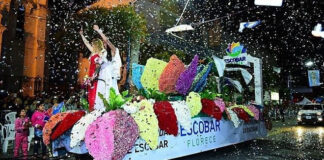 Cultura en Escobar: los shows del Bahiano, Q’ Lokura y Cristian Castro en la Fiesta Nacional de la Flor se destacan entre las opciones de este fin de semana