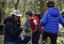 Ecoturismo: la Reserva Natural Educativa de Ingeniero Maschwitz, un lugar ideal para avistar fauna y flora nativa