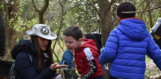 Ecoturismo: la Reserva Natural Educativa de Ingeniero Maschwitz, un lugar ideal para avistar fauna y flora nativa