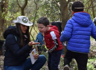 Ecoturismo: la Reserva Natural Educativa de Ingeniero Maschwitz, un lugar ideal para avistar fauna y flora nativa