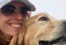 Tragedia en Escobar: una mujer murió tras ser golpeada por una rama en la cabeza