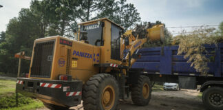 La Municipalidad anunció un nuevo cronograma de recolección de ramas para hacer más eficiente el servicio