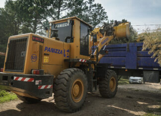 La Municipalidad anunció un nuevo cronograma de recolección de ramas para hacer más eficiente el servicio