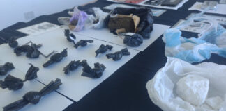 Gracias a “Ojos y Oídos en Alerta” cayó una banda dedicada al narcomenudeo