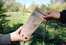 Escobar Sostenible: ya se pueden pedir los nuevos kits de semillas para la temporada otoño-invierno