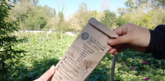 Escobar Sostenible: ya se pueden pedir los nuevos kits de semillas para la temporada otoño-invierno