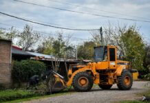 Recolección de ramas: cronograma para esta semana