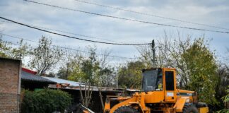 Recolección de ramas: cronograma para esta semana