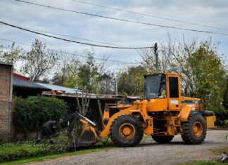 Recolección de ramas: cronograma para esta semana
