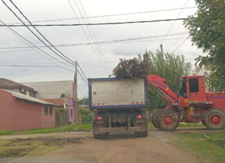 Recolección de ramas: cronograma para esta semana