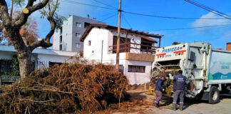 Cronograma del Sistema de Recolección de Ramas para esta semana