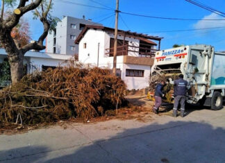 Cronograma del Sistema de Recolección de Ramas para esta semana