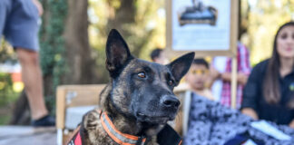 Este sábado, festejos especiales en la Granja Don Benito por el Día del Animal