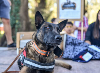 Este sábado, festejos especiales en la Granja Don Benito por el Día del Animal