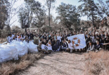 Comenzó la primera etapa de limpieza profunda del Arroyo de la Reserva Natural Educativa