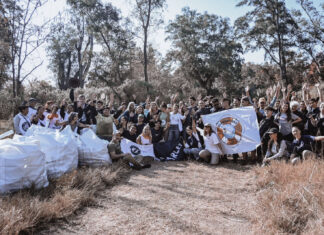 Comenzó la primera etapa de limpieza profunda del Arroyo de la Reserva Natural Educativa